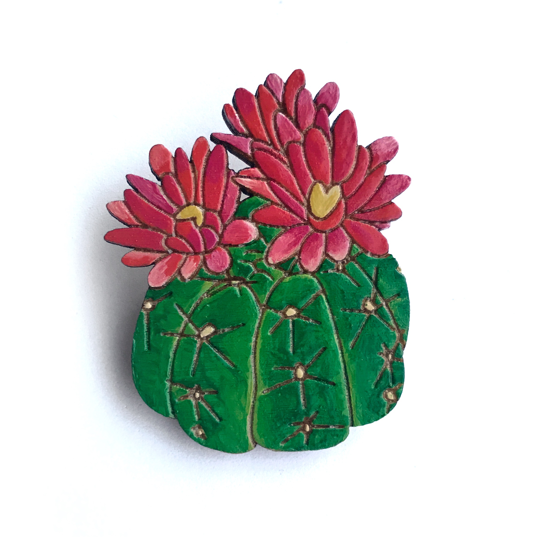 Colourful Cactus Flowers Jewellery